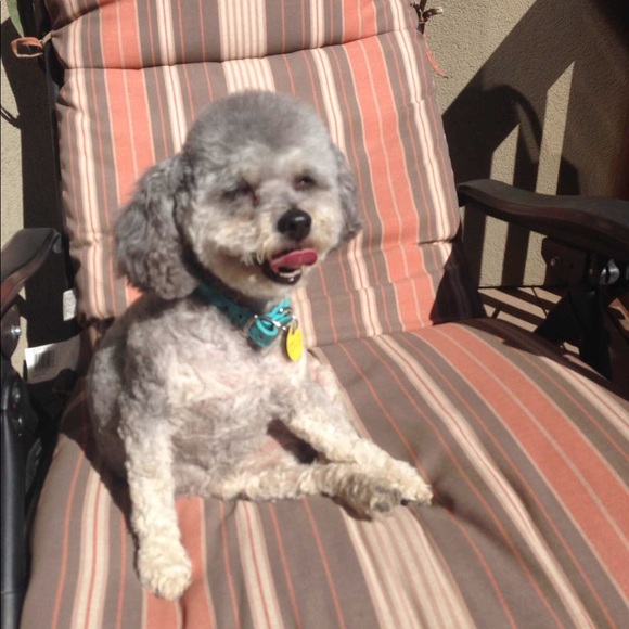 tayk90